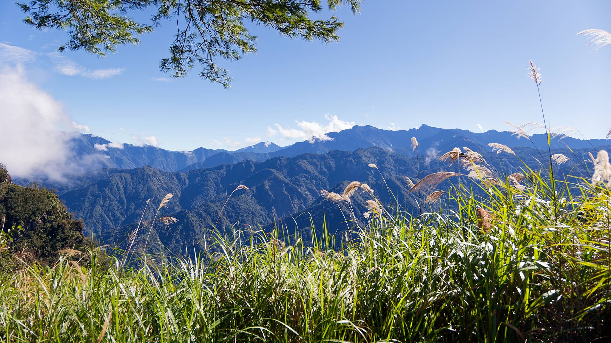 05 - Alishan (24).jpg